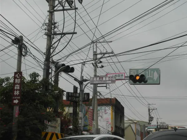 新竹芎林『心鮮森林』 寵物奔跑的好去處