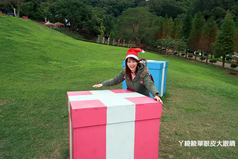 新竹景點推薦！心鮮森林也有落羽松秘境！帶聖誕帽免費入園