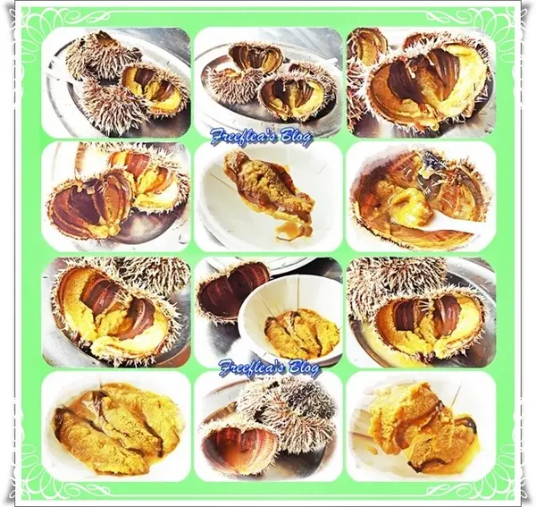 ✜ 意想不到滴新北市萬里龜吼漁港驚喜初體驗 -「三明美食」>O<… 