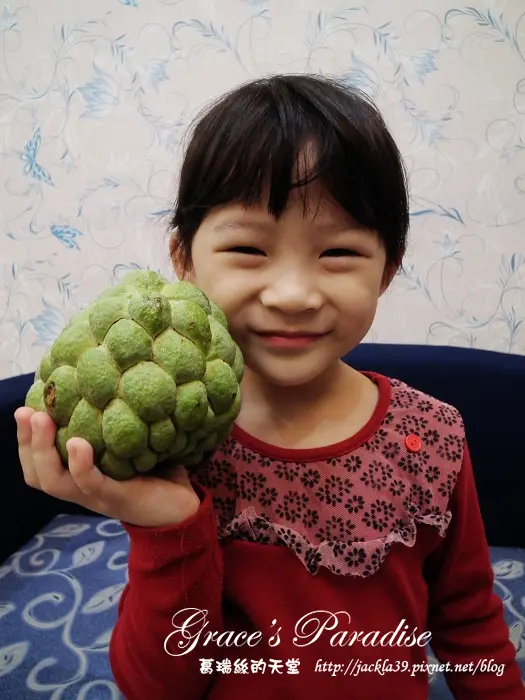 【生活分享】i3Fresh網路購物平台--今天下單明天到貨，讓您愛上新鮮！果物農產產地直送，霸王釋迦真的超級巨無霸！