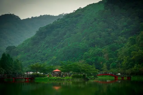 [宜蘭] 原來花田村在這 !! 慢走宜蘭望龍埤