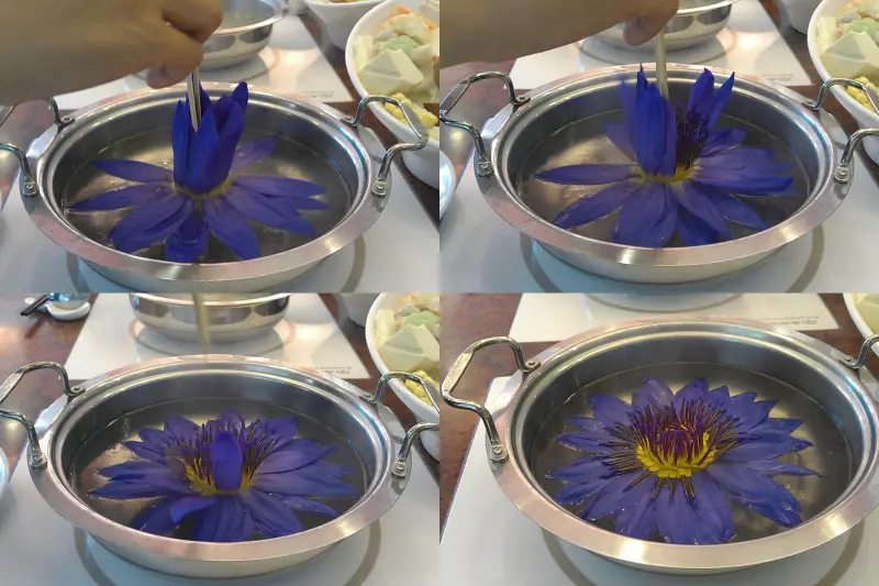 【林口食記】御棧健康火鍋