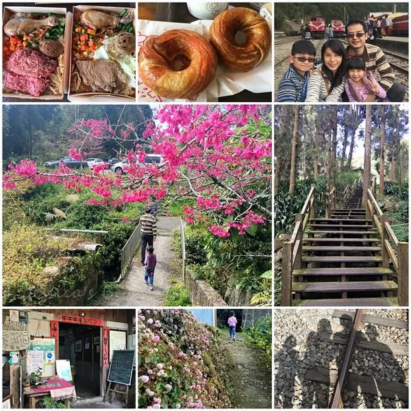 【嘉義竹崎】鐵道山城緩慢悠遊。奮起湖老街之旅~星空小木屋+懷舊便當+現烤甜甜圈+愛玉伯ㄟ厝