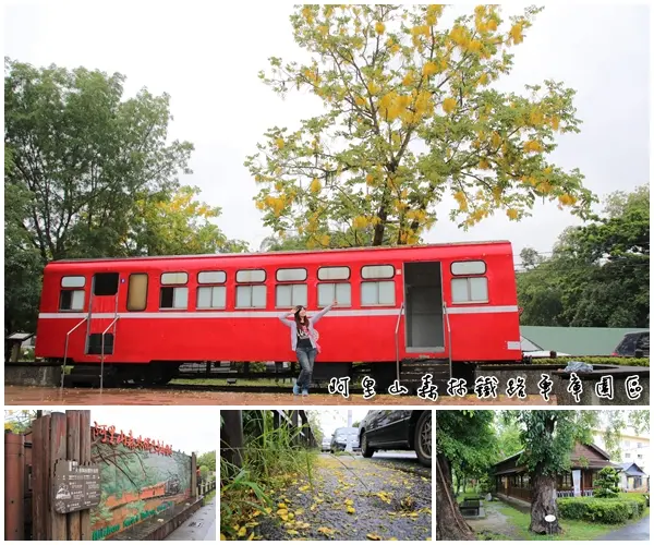 【嘉義景點】阿里山森林鐵路車庫園區~雨中的阿勃勒也是美到不要不要的，雖然沒有艷陽高照，卻多了一股惆悵般的美感        
      