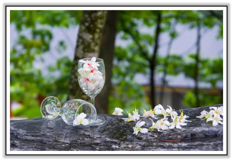 天使的嫁紗-季節限定-苗栗 客家大院