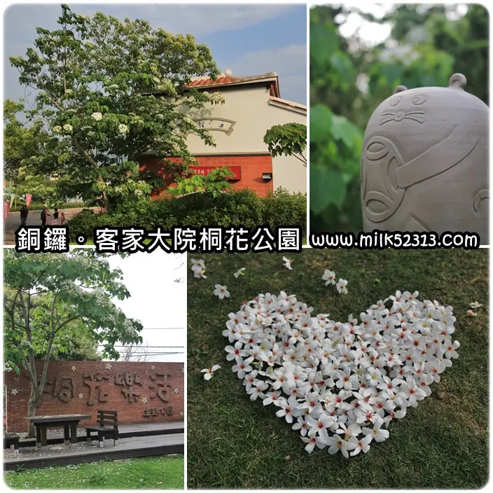 遊苗栗│銅鑼。客家大院。桐花公園♥五月也能賞雪？2014桐花季開跑囉～*