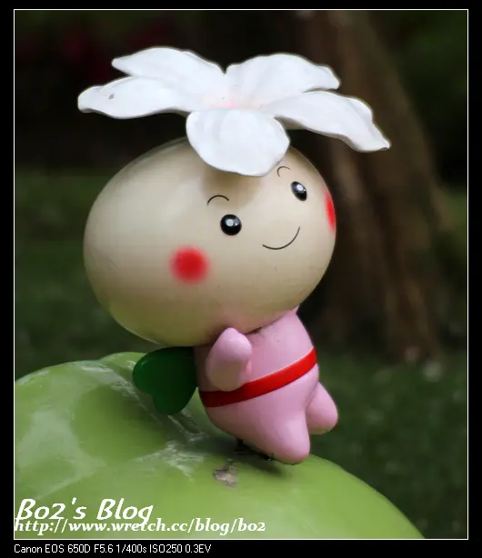 
苗栗.銅鑼-客家大院(雨後的四月花毯)(20130421花況)
