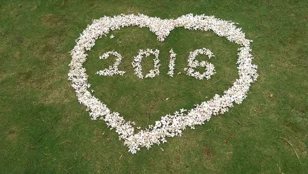 客家大院桐花盛開：桐花地毯+四月雪(苗栗)