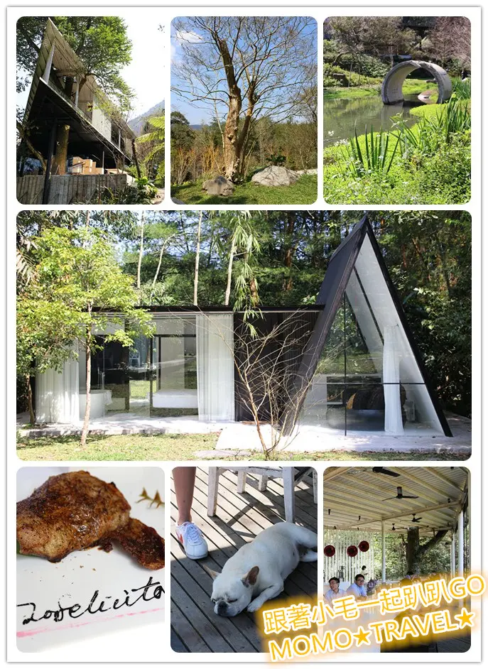 南投美食-九樹森林 La Felicita 一顆種．種一份幸福 九顆種．種滿滿幸福