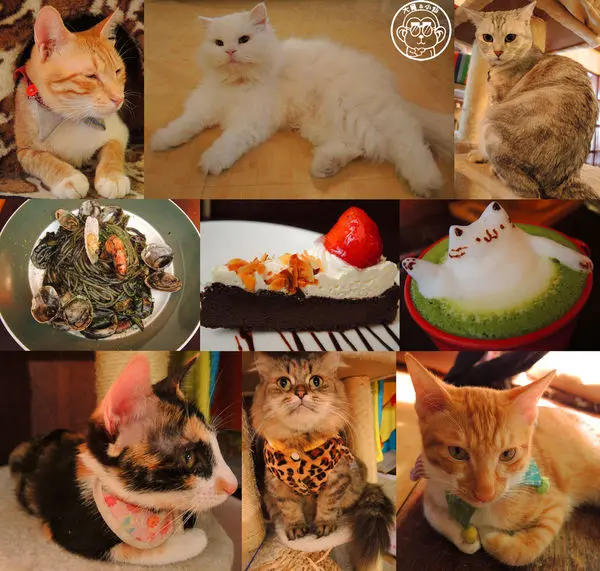 呷飽祙【台北內湖･Miao米亞歐 隨義小廚】巷弄裡的寵物當家義式料理        
      