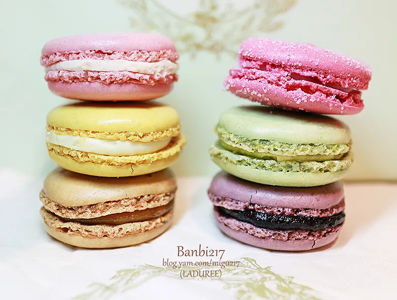 [LADUREE馬卡龍 台北微風店]文內有產品及紙盒價格:馬卡龍,蠟燭,室內香氛,巧克力,果醬,蜂蜜,牛軋糖,茶葉,食譜書,購物袋,馬卡龍鑰匙圈(法國百年名店,捷運忠孝復興站,東區,下午茶,法式甜點)