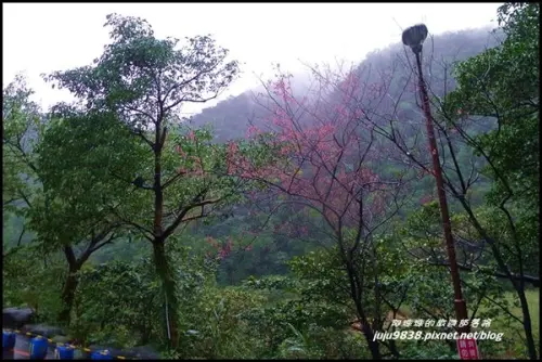 新北。八煙溫泉會館泡湯去。福緣地方風味火鍋