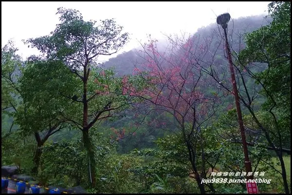 新北。八煙溫泉會館泡湯去。福緣地方風味火鍋