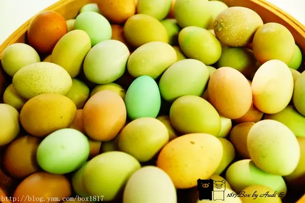 【彰化。埔鹽】彩色蛋。桂園自然生態農場。雞蛋主題館