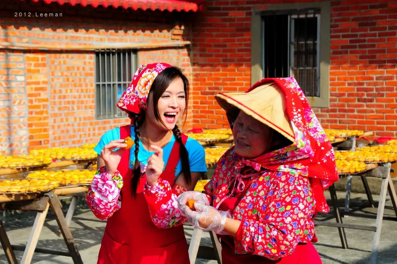 到新竹(新埔)看超美浩瀚的金黃柿海!(9-12月)