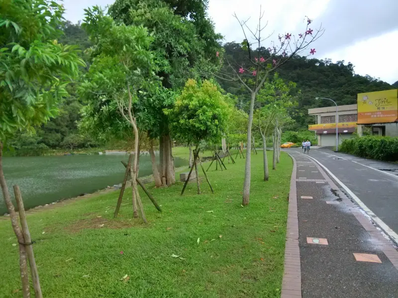 梅花湖畔梅花酥--橙靖手工烘焙坊