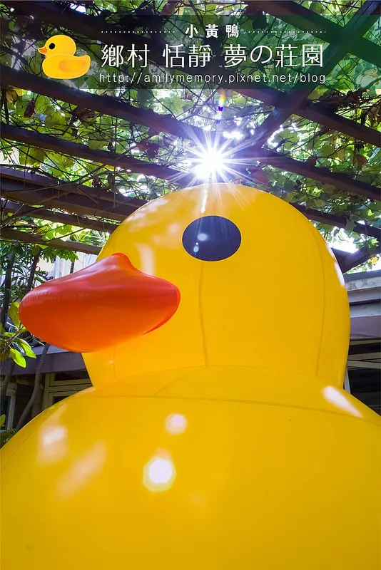 ╠桃園食記╣黃色小鴨的小孩在桃園?!親子出遊家族聚會的好場合-阿勃勒農莊餐廳