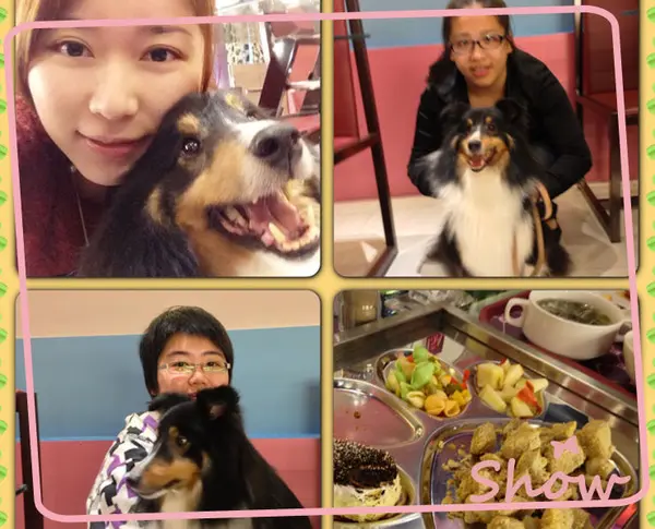 【派特芙德寵物餐廳】貴族狗都去哪裡?!