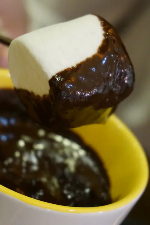 [甜點]巧克力的知性之旅   in Joy chocolate