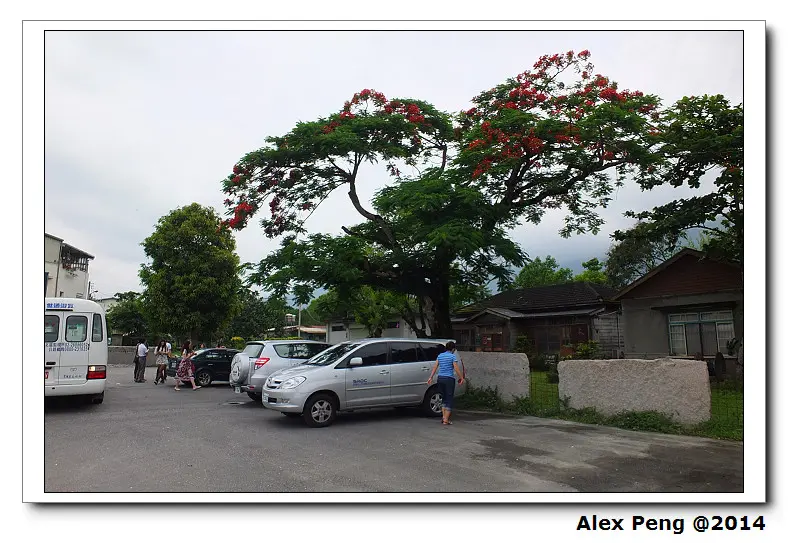 花蓮-壽豐-禾田野