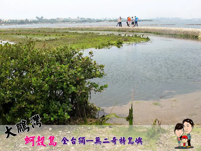 ❤[玩-東港]全台獨一無二奇特島嶼。大鵬灣潟湖蚵殼島+海上廁所