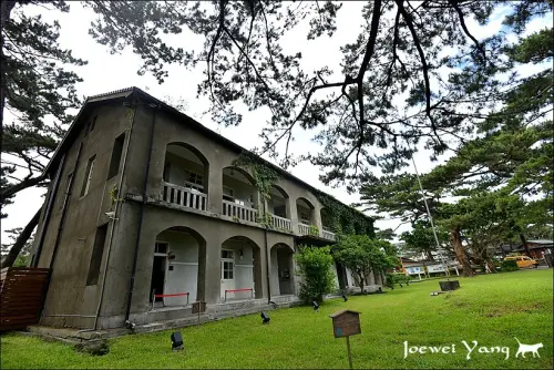遊記°花蓮 -《 松園別館 》松林，綠葉，獨角仙