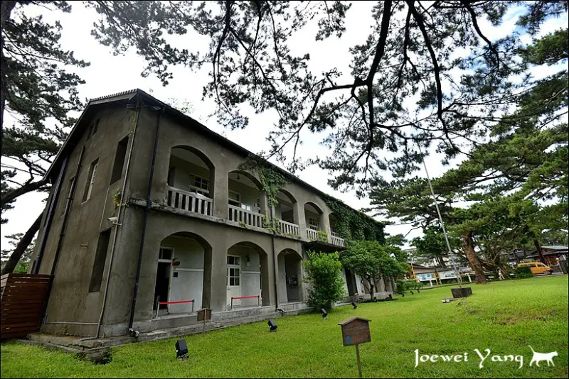 遊記°花蓮 -《 松園別館 》松林，綠葉，獨角仙