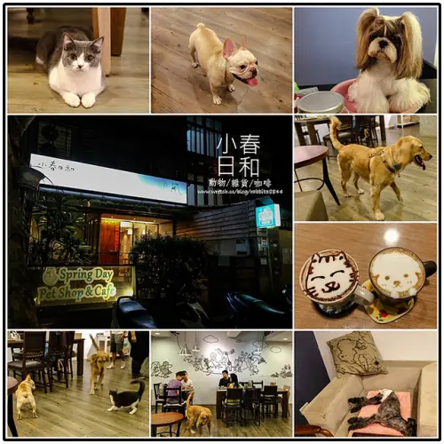 【虎亂吃一通】【松山機場站】小春日和動物雜貨、咖啡