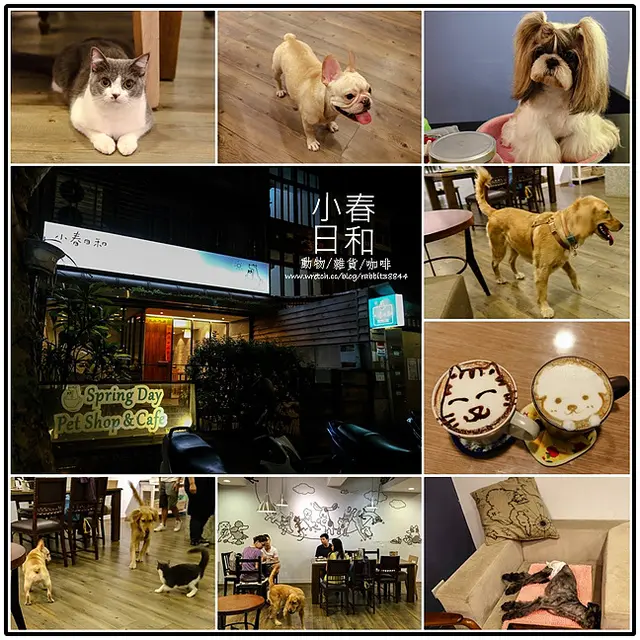 【虎亂吃一通】【松山機場站】小春日和動物雜貨、咖啡