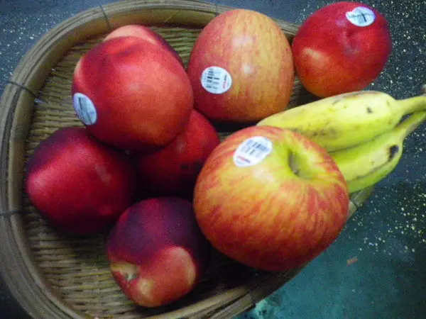 鮮見的水果-榴槤蜜-絕妙的滋味                
      