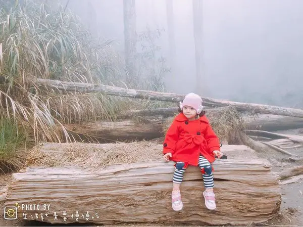 【南投．慈】杉林溪周邊免費賞台版九寨溝▷忘憂森林(迷霧森林)