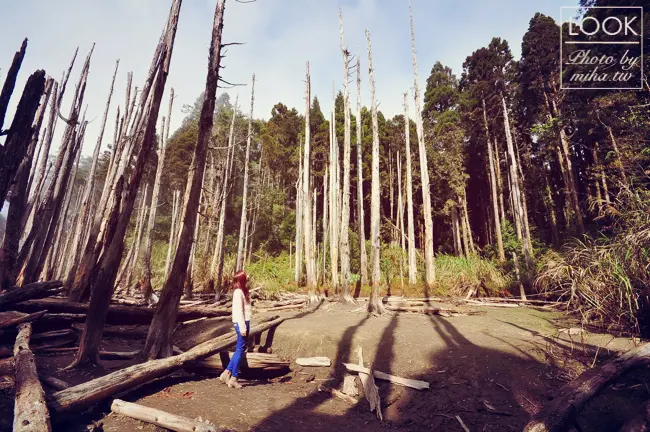 穿搭 ▌終於完成到忘憂森林的夢想＆joyce shop質感超好的衣服和鞋子分享