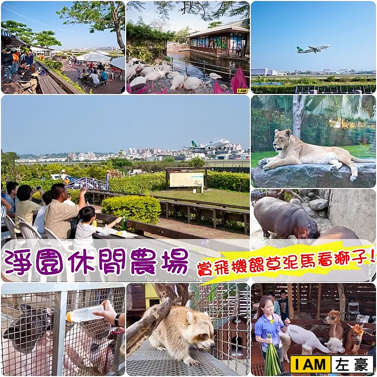 [旅遊] 高雄淨園休閒農場(賞飛機餵草泥馬看獅子 !)