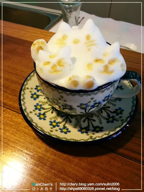 高雄 my cofi 貓咪拉花 優質咖啡 藍圖咖啡認證