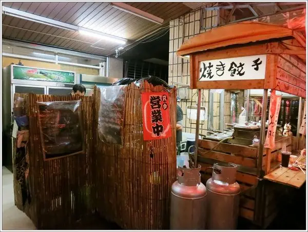 高雄-宇都宮餃子-長方型的煎餃