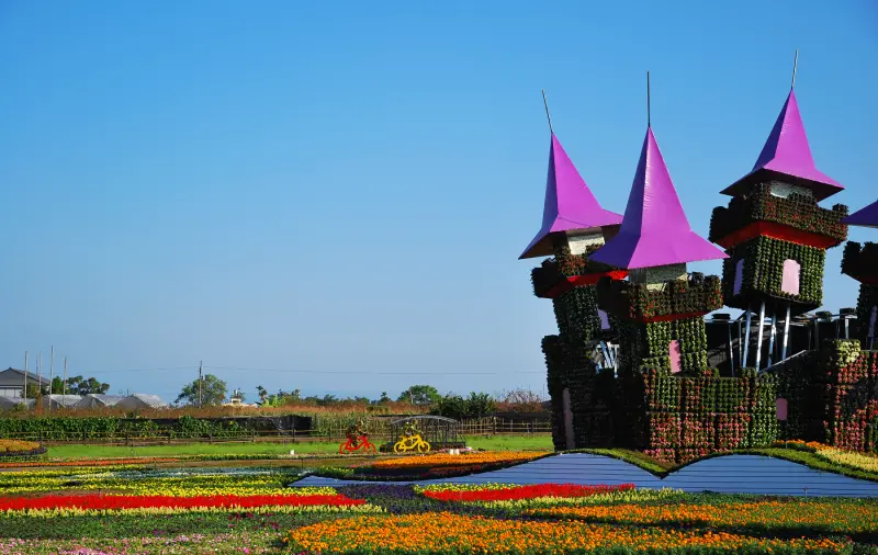 花間 ‧ 漫遊！樂悠遊！* 2013 新社花海 ( 花毯 ) 節 .. 搶先報