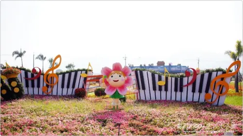 【台中/新社】美到不行~2012新社花海節