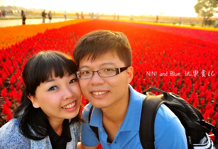 【台中】2014新社花海搶先看(台中國際花毯節)，花田囍事愛你一世(請戴墨鏡再看，以免被nini and blue閃到)