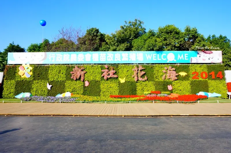 【台中】新社區 新社花海暨台中國際花毯節 百花盛開 一覽無遺