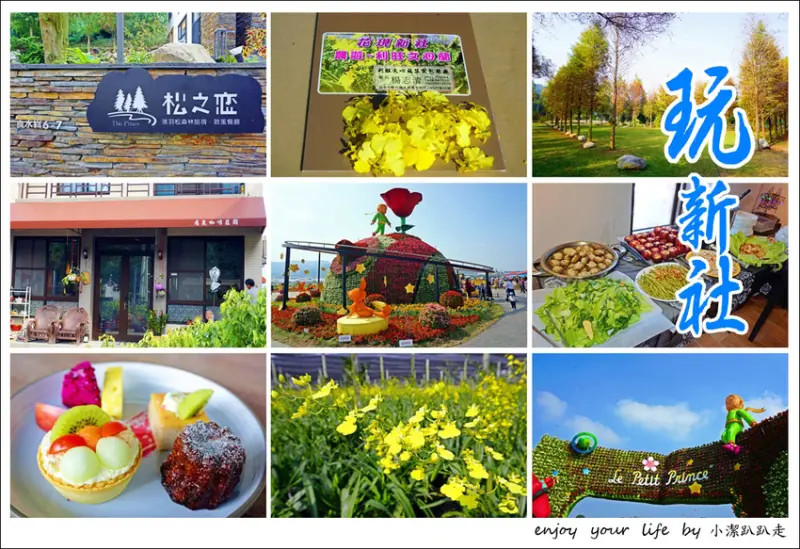 台中新社景點一日遊》花現秘境一日遊：2019台中國際花毯節、松之戀落羽松祕境、眉泉咖啡莊園、利旺文心蘭花園 - 小潔趴趴走旅遊札記