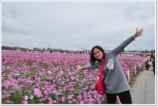 ❤台中。2014新社花海~看花看到心花怒放！