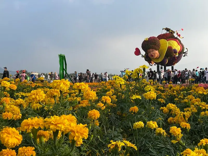 【台灣，台中市，新社區】出城小旅行，2020台中國際花毯節—愛麗絲夢遊仙境（Alice‘s Adventures in Wonderland）的花境探險（新社花海）。
