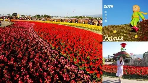 台中新社花海一日遊 ▶ 2019新社花海 愛與希望 小王子的星球之旅 ▶ 小王子與玫瑰星球的美好相遇 2019新社花毯節時間、接駁、交通資訊!