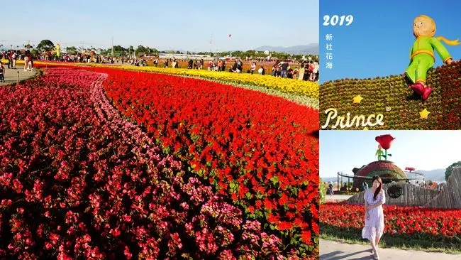 台中新社花海一日遊 ▶ 2019新社花海 愛與希望 小王子的星球之旅 ▶ 小王子與玫瑰星球的美好相遇 2019新社花毯節時間、接駁、交通資訊!