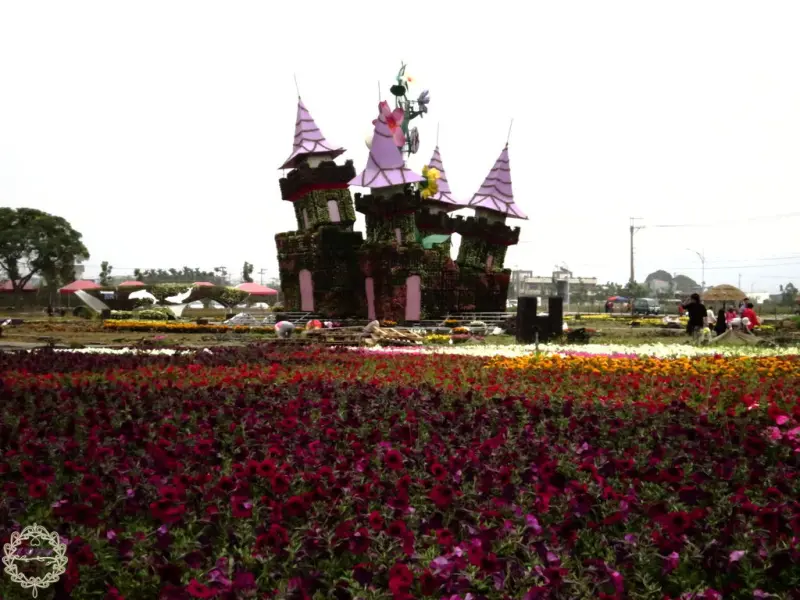 2013.12.11 -【台中】新社花海、【台南】白河水庫