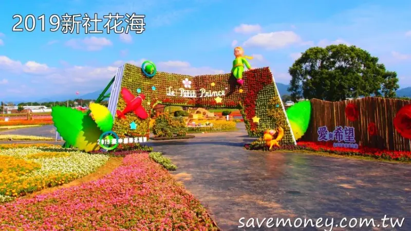 2019新社花海｜台中花毯節搶先看(附交通接駁資訊) - 達人Emily的播報台