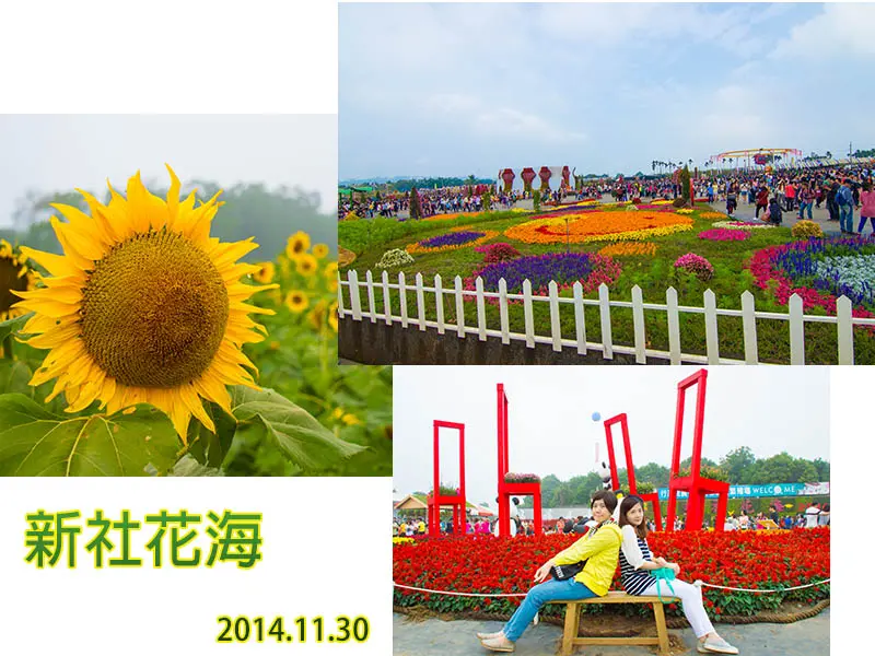 　2014 新社花海節-看到都是滿滿的人潮