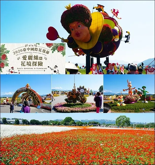 【台中景點】2020台中國際花毯節，限定時間2020年11月14(六)~2020年12月06日(日)，愛麗絲花境探險08:30-16:30開放，戶外花海全天開放。台中景點 台中親子旅遊景點