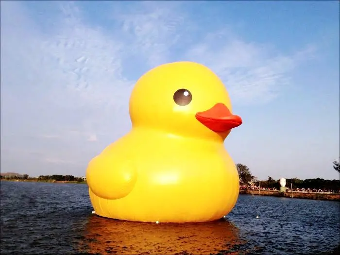 【遊】黃色小鴨一路向北。桃園新屋地景廣場藝術節流浪之旅