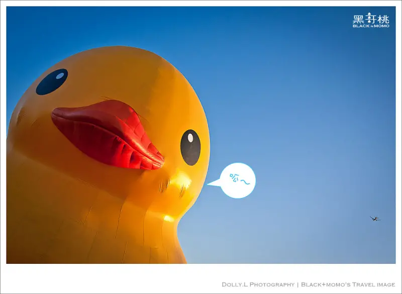 新屋│黃色小鴨遊桃園‧散步陂塘街巷賞藝術【期間限定】